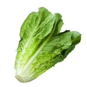 vegetable lettuce 24 ounces $4